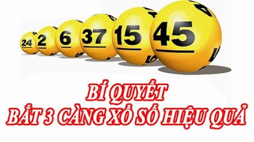 Ba càng miền bắc hôm nay