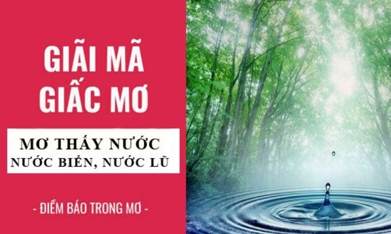 Mơ thấy nước dự báo điều gì?