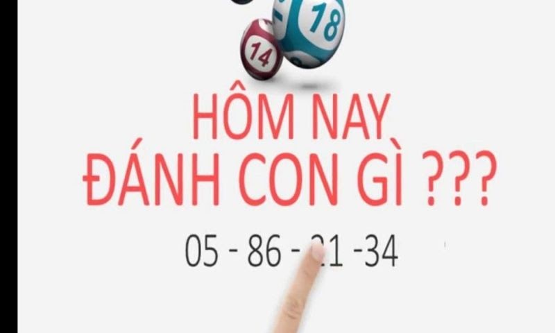 Phương pháp dự đoán đặc biệt chuẩn xác số đề miền Bắc