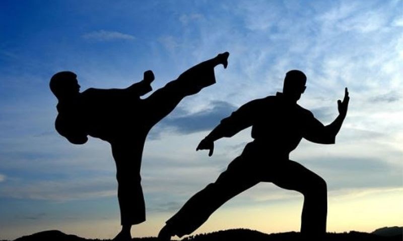 Ngủ mơ thấy đánh nhau đánh con gì?