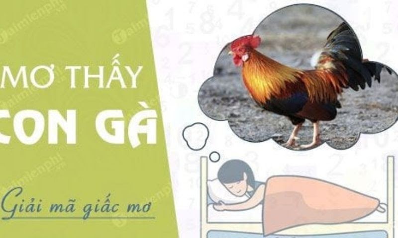Nằm mơ thấy gà thì đánh con gì? 