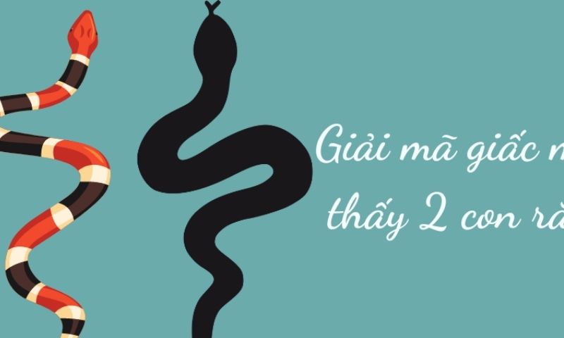 Giải mã giấc mơ thấy 2 con rắn